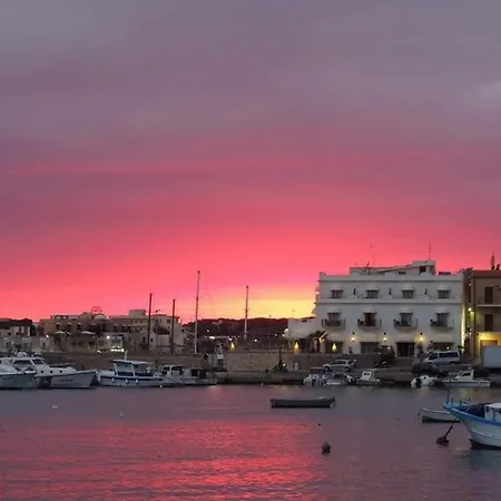 Terranova * Lampedusa